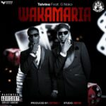 Music Audio : Taivina Ft G Nako – Wakamaria | Download Mp3