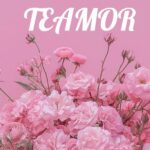 Music Audio : Sonic Tz – Teamor | Download Mp3