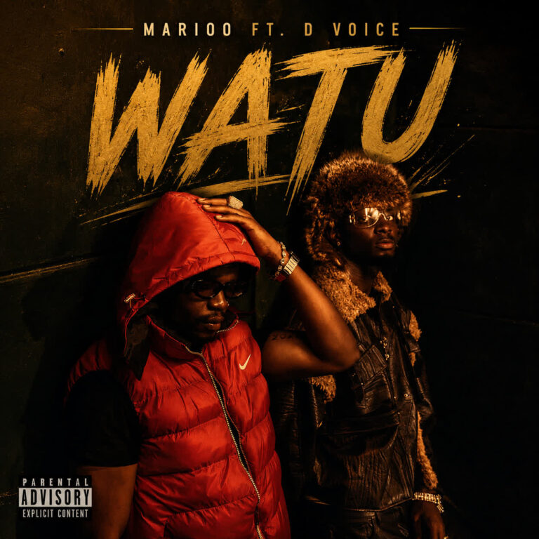 Marioo Ft. D Voice – Watu