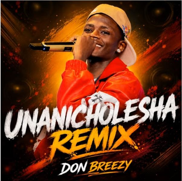 Don Breezy – Unanicholesha (Remix)