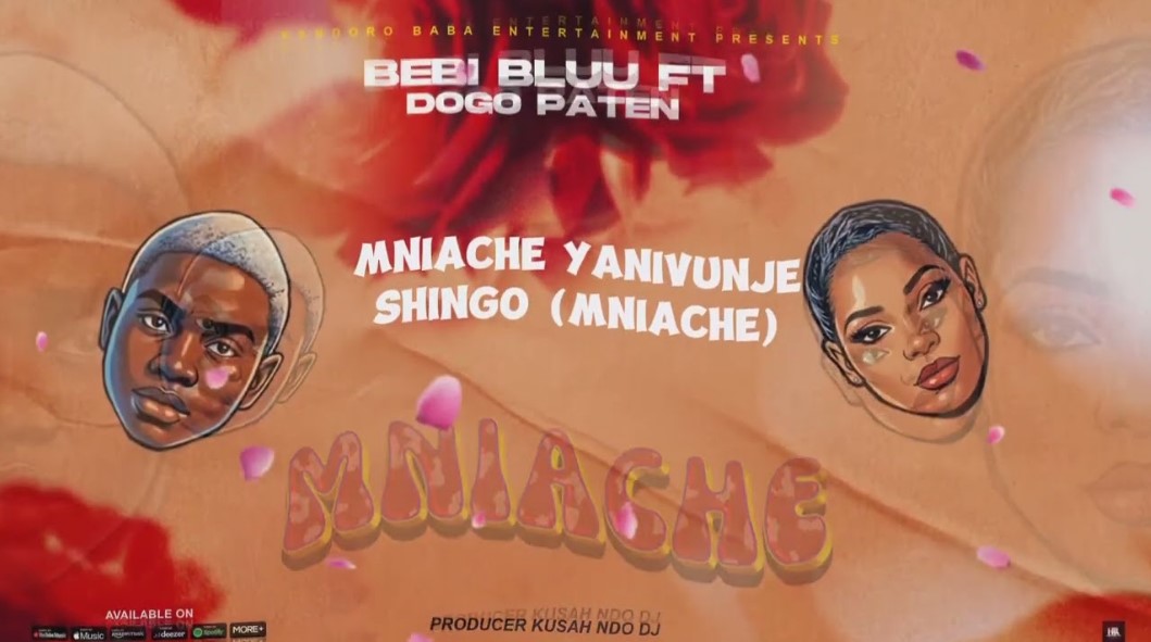 Bebi Bluu Ft Dogo Paten – Mniache