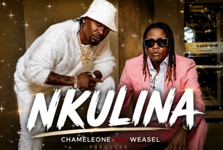 Weasel Ft Chameleon – Nkulina