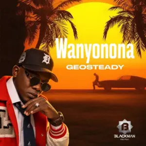 Geosteady – Wanyonona